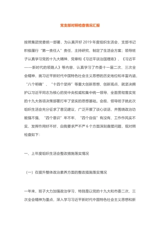 党支部对照检查情况汇报