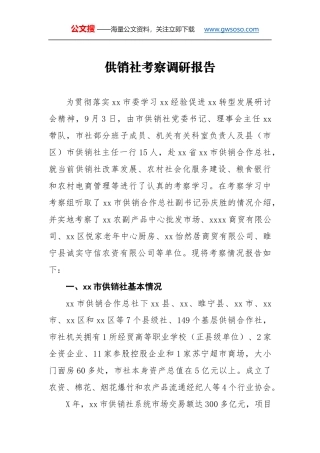 供销社考察调研报告
