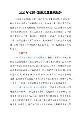 2020年支部书记抓党建述职报告