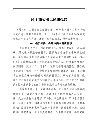 16个市委书记述职报告