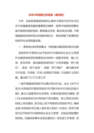 2020年党建工作总结8篇市县区乡镇农村