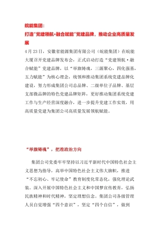 【案例】“党建领航·融合赋能”党建品牌