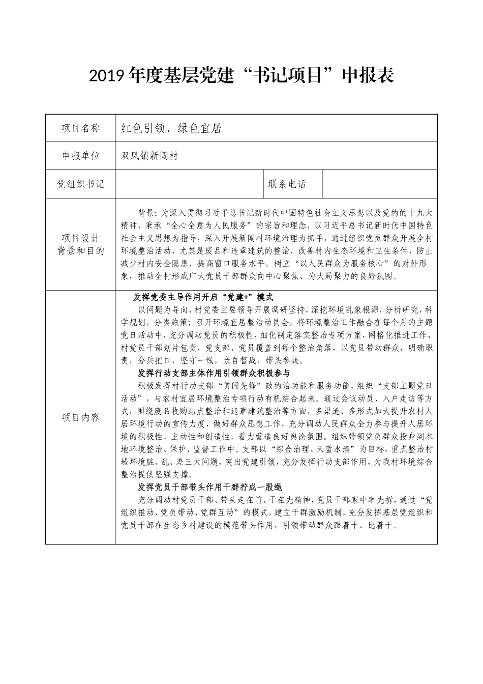 2019年新闯村基层党建书记项目_第1页