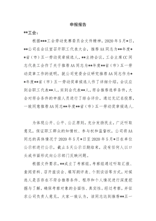 AA同志申报报告