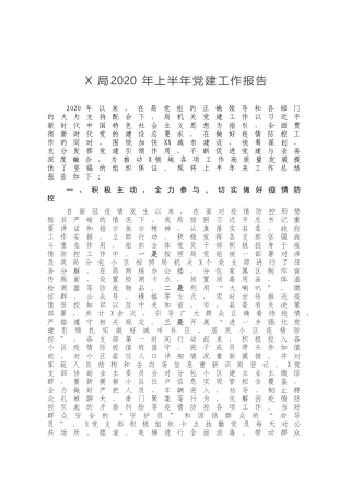 X局2020年上半年党建工作报告