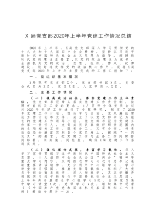 X局党支部2020年上半年党建工作情况总结）
