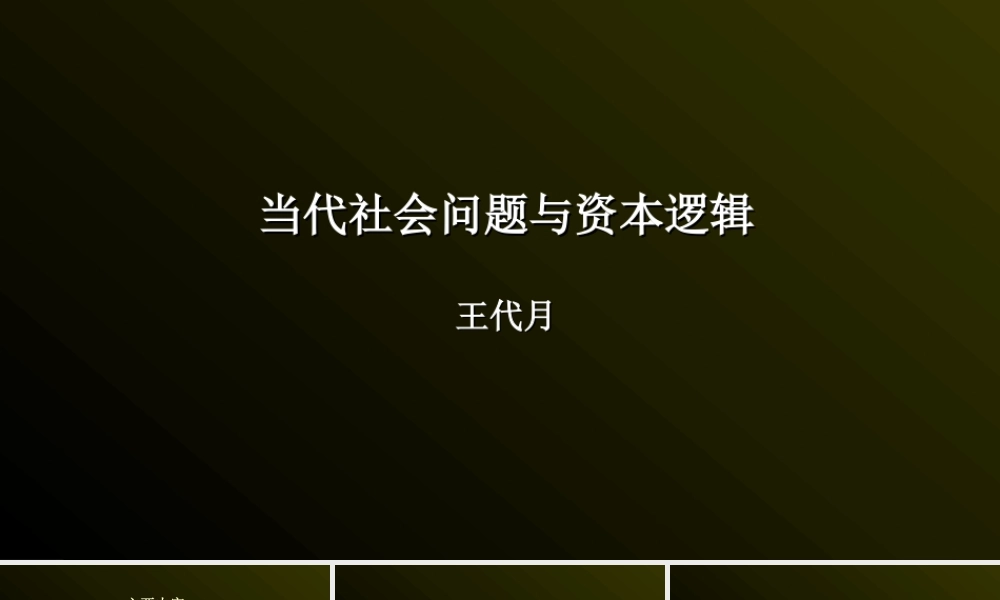 当代社会问题与资本逻辑