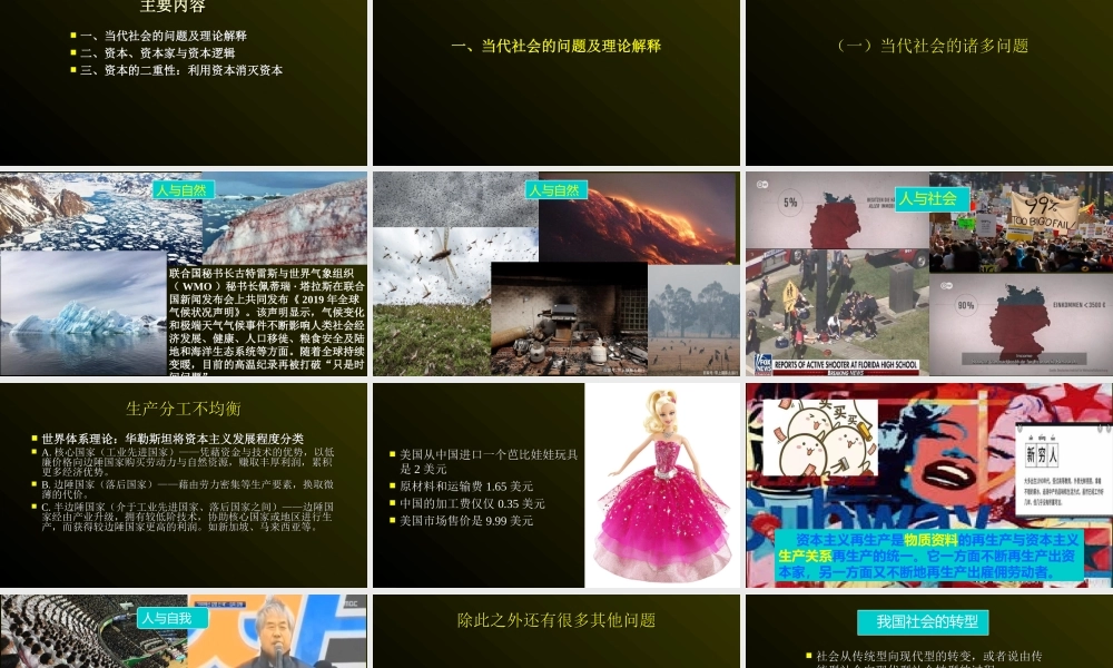 当代社会问题与资本逻辑