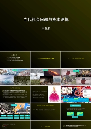 当代社会问题与资本逻辑