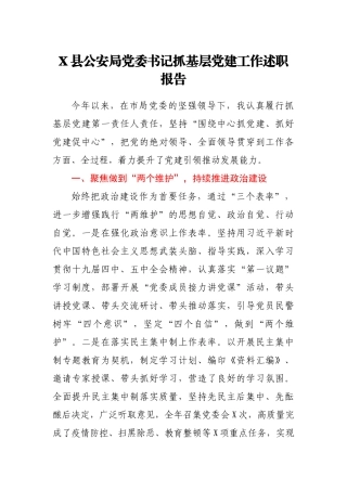 X县公安局党委书记抓基层党建工作述职报告1