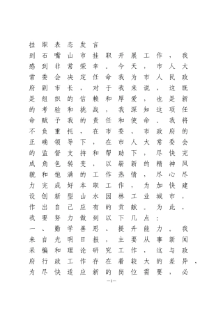 挂职表态发言