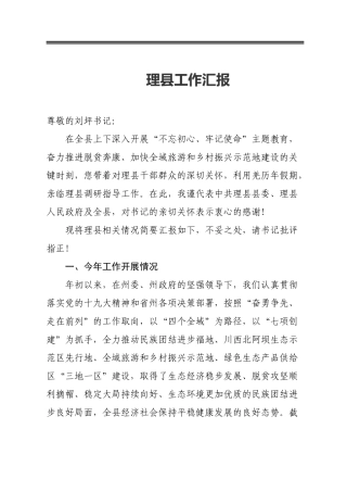 某县工作汇报