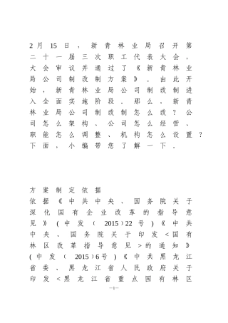国企公司改制实施方案