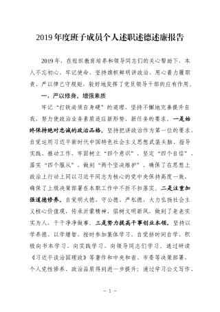 年度述职述德述廉报告