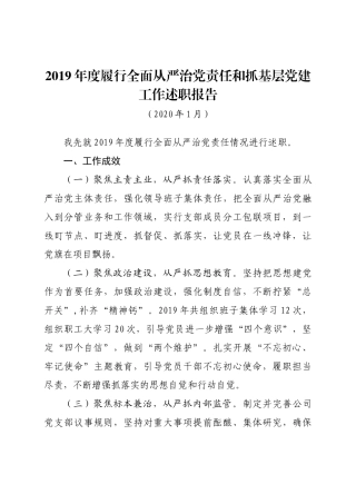 年度直属党组织书记履行全面从严治党责任和抓基层党建工作述职报告