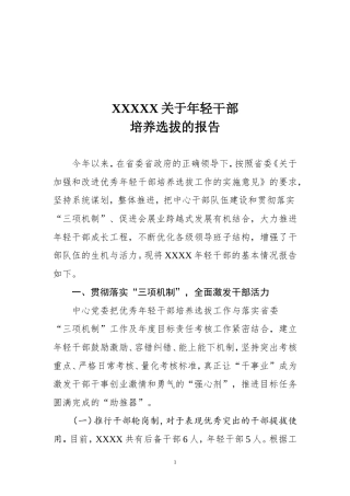 年轻干部选拔培养的报告