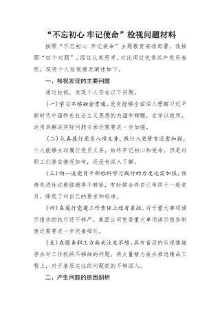 检视问题材料