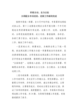 配合巡视巡察工作总结