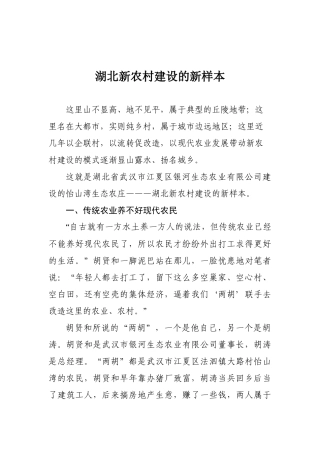湖北新农村建设的新样本