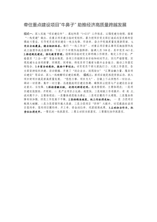 牵住重点建设项目“牛鼻子” 助推经济高质量跨越发展