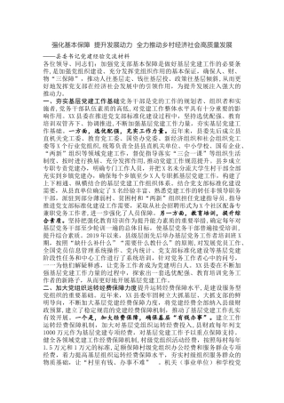 强化基本保障  提升发展动力  全力推动乡村经济社会高质量发展——县委书记党建经验交流材料