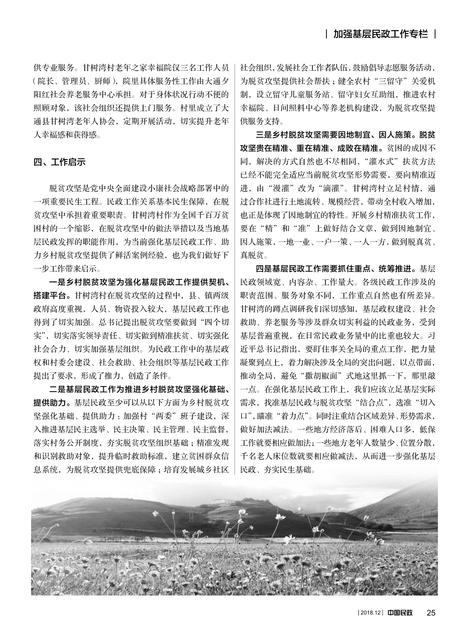 强化基层民政助力脱贫攻坚青省略县景阳镇甘树湾村蹲点剖析调研报告_第3页