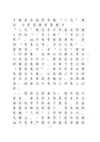 基层党建“三化”建设工作汇报2篇