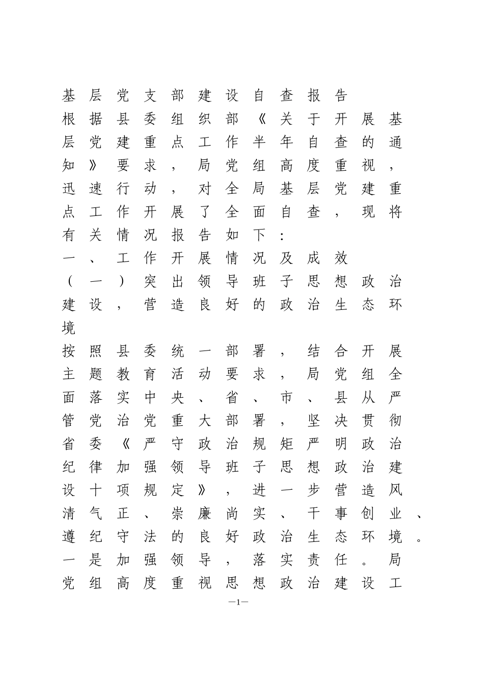 基层党支部建设自查报告_第1页