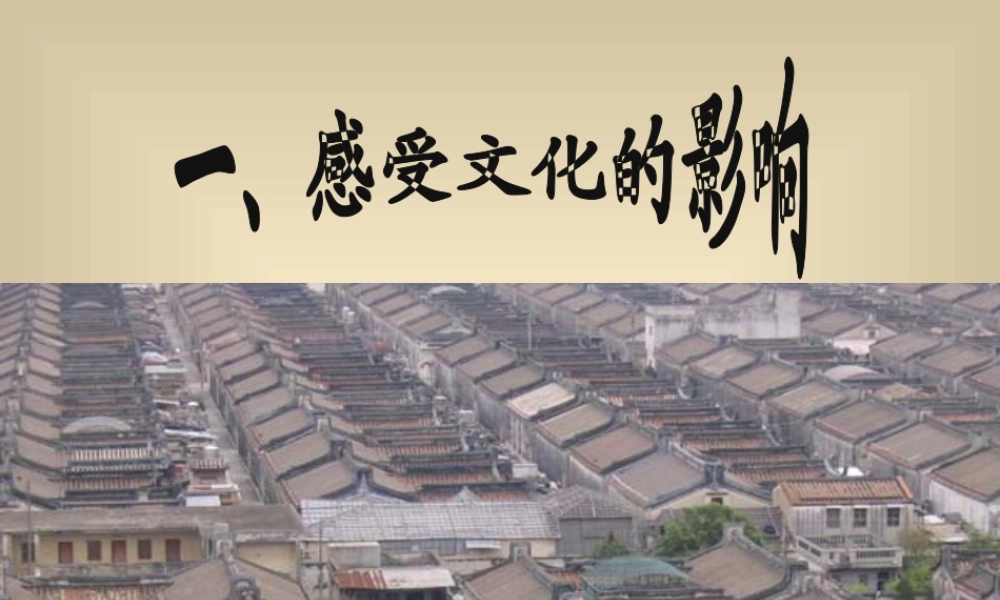感受文化的影响教学课件