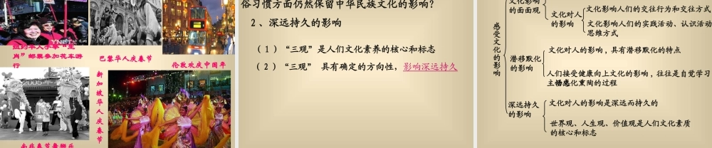 感受文化的影响教学课件