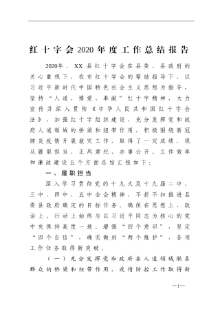 群团：红十字会2020年度工作总结报告