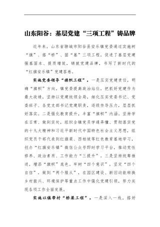 山东阳谷：基层党建“三项工程”铸品牌