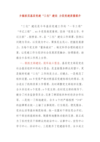 乡镇抓实基层党建“三化”建设 力促党建质量提升