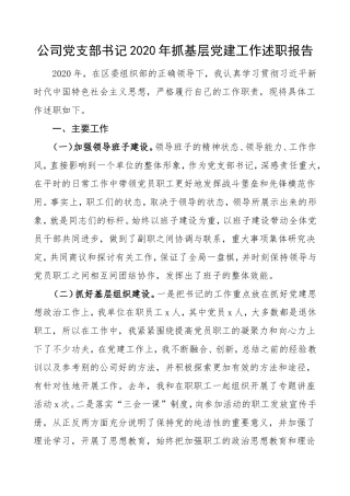 书记述职2020年抓基层党建工作述职报告