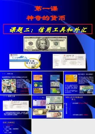 经济生活 神奇的货币 课件