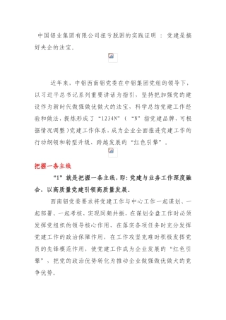 中铝西南铝“1234N”党建工作体系解读