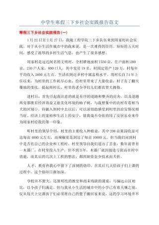 中学生寒假三下乡社会实践报告范文