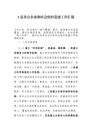 X县非公企业和社会组织党建工作汇报