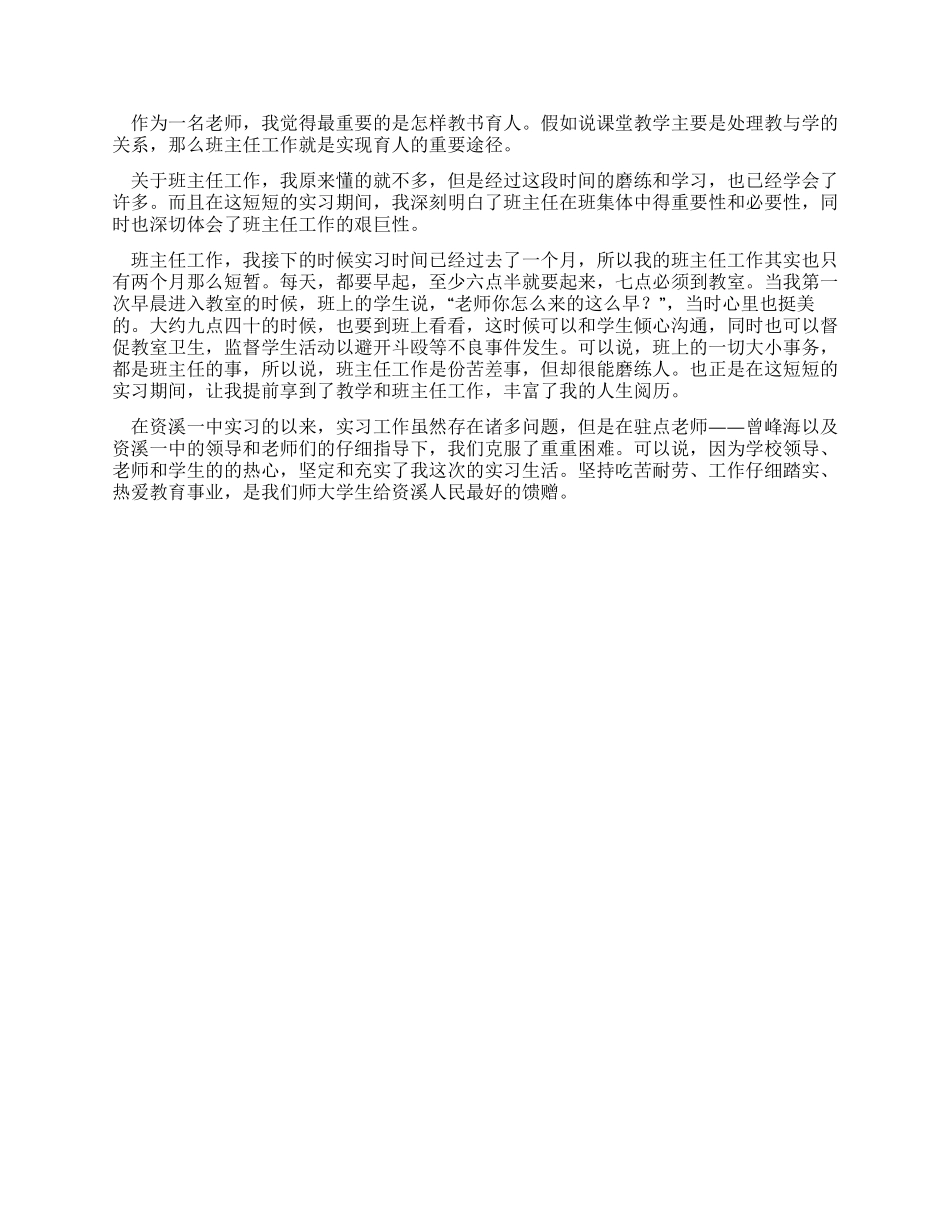 中学顶岗实习个人工作总结_第3页