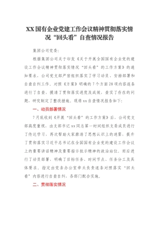 XX国有企业党建工作会议精神贯彻落实情况“回头看”自查情况报告