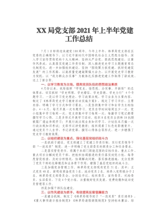 XX局党支部2021年上半年党建工作总结