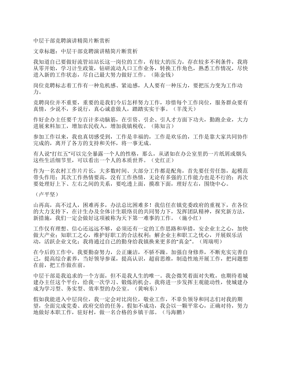 中层干部竞聘演讲精简片断赏析_第1页