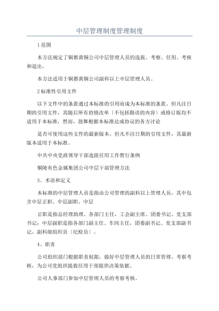 中层管理制度管理制度