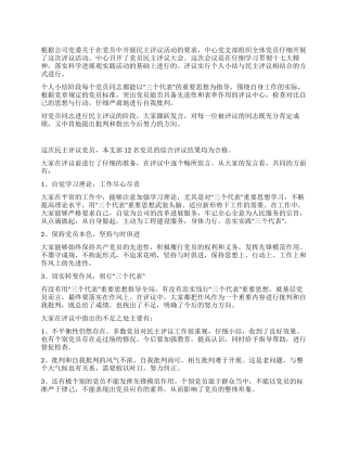 中心党支部党员民主评议小结