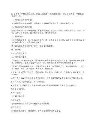 中心小学校长竞岗实施方法