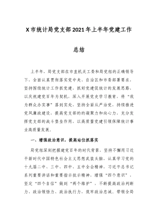 X市统计局党支部2021年上半年党建工作总结
