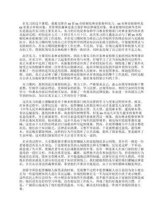 中文专业实习总结