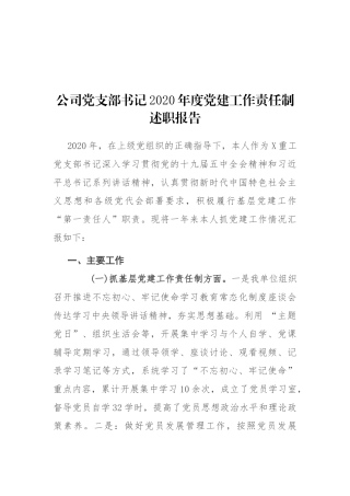 公司党支部书记2020年度党建工作责任制述职报告