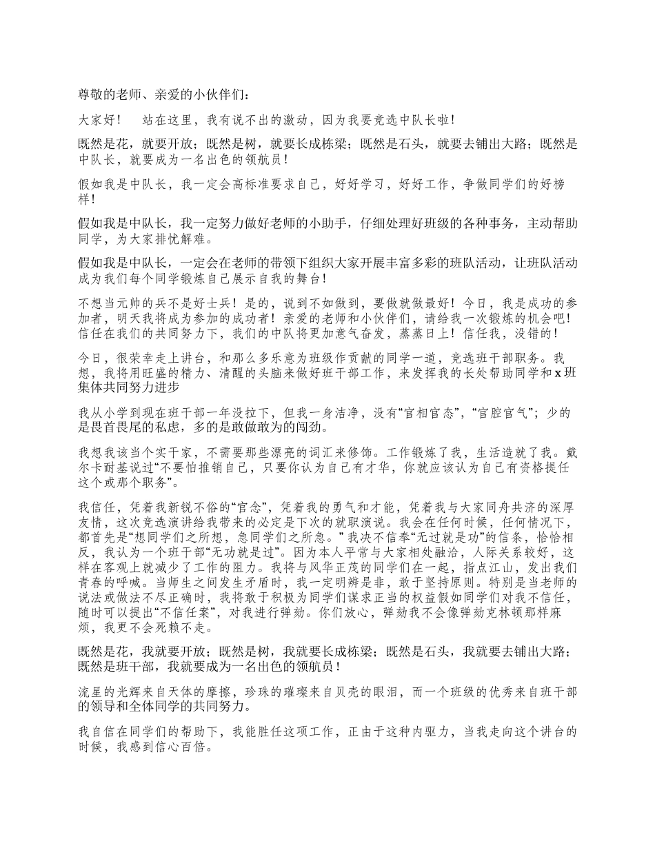 中队长竞选演讲稿_第1页