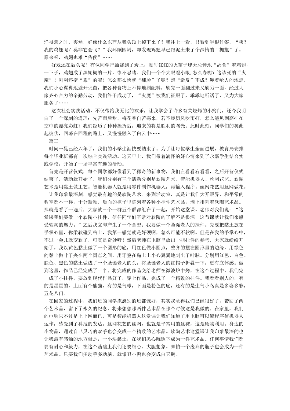 丰富多彩的实践活动作文1000字_第2页